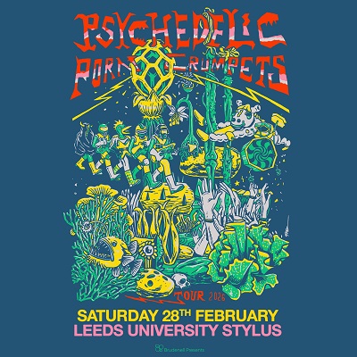 PSYCHEDELIC PORN CRUMPETS